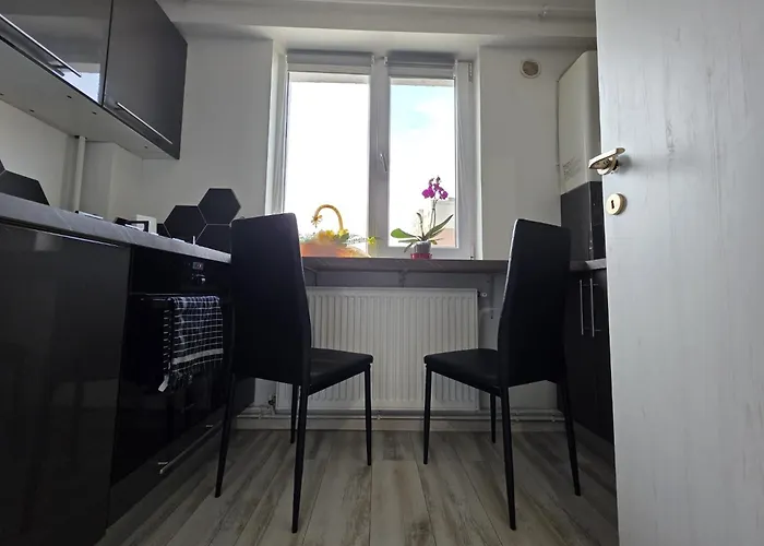 28 Constantin Brancoveanu, Craiovita, Self Check-in 克拉奥华